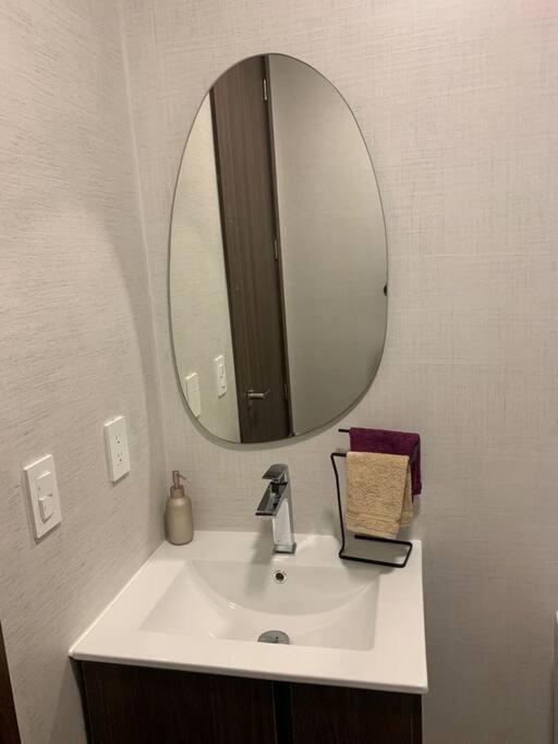 Confort Suite La Carolina 키토 외부 사진